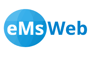 eMsWeb Websitebouw logo